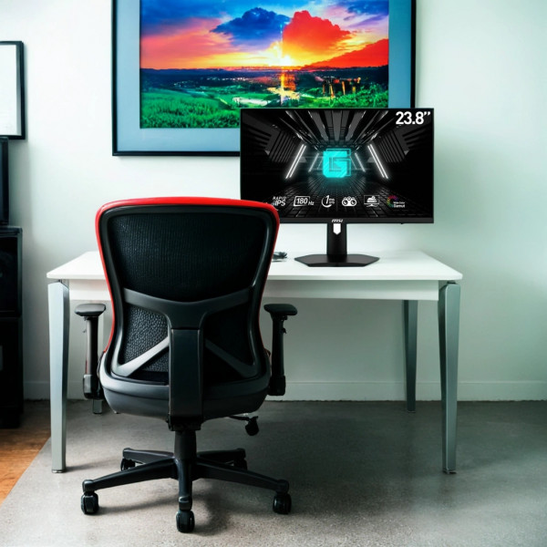 Фото - Монитор игровой MSI G244F E2