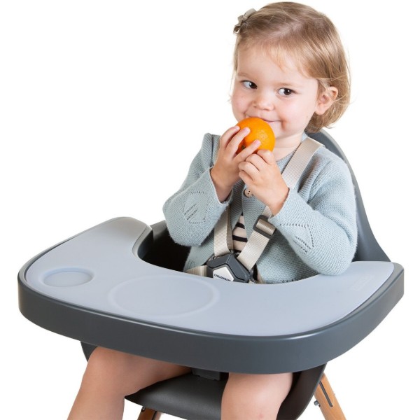 Фото - Поднос к стульчику для кормления Childhome Evolu Anthracite (CHEVOTSAA)