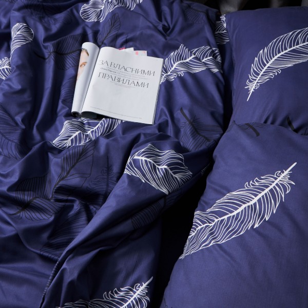 Фото - Комплект постельного белья Moon&Star Premium Night Feathers 160х220х2 нав. 4х70х70 (MS-820007979)