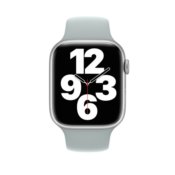 Фото - Ремешок для смарт-часов Apple 45mm Succulent Sport Band