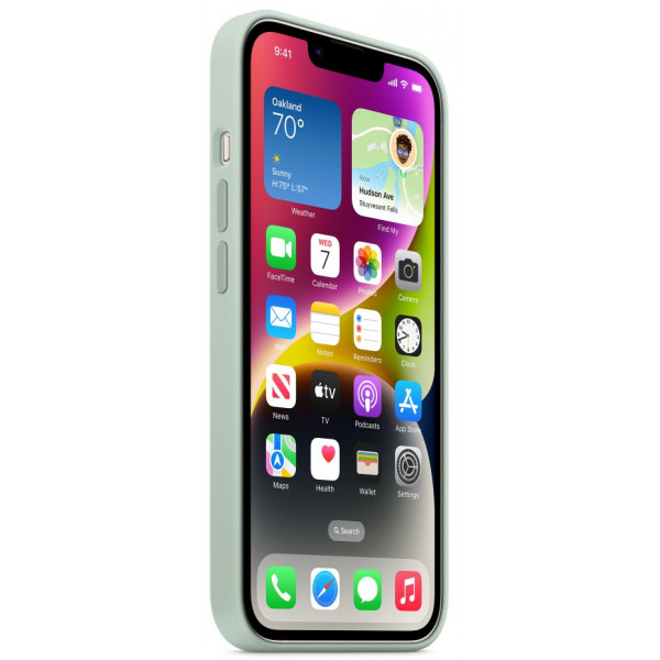 Фото - Чехол для смартфона Apple iPhone 14 Silicone Case with MagSafe - Succulent (MPT13)