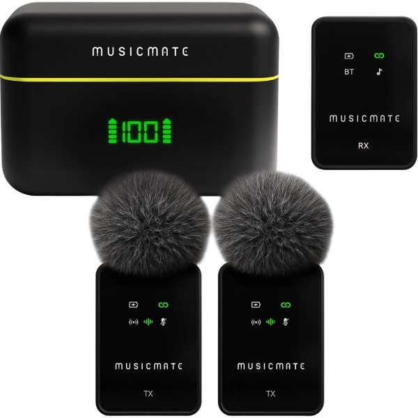 Фото - Микрофон вокальный беспроводной Musicmate MM-130 EchoStream