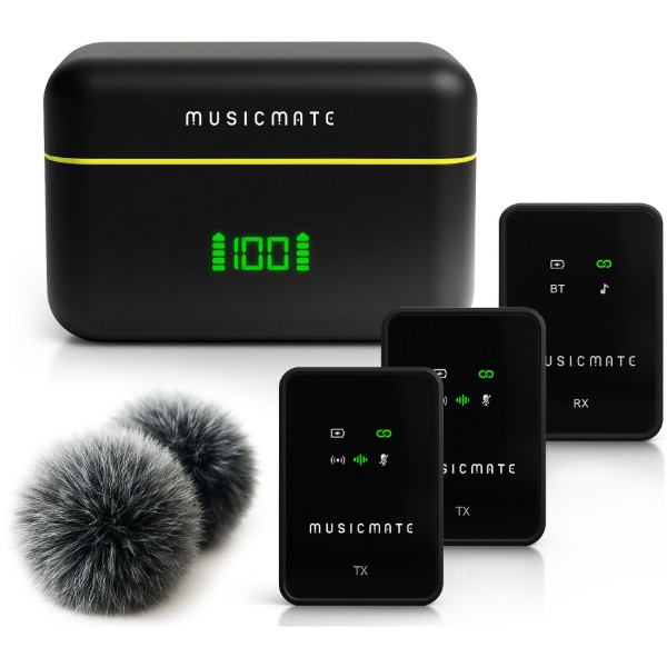 Фото - Микрофон вокальный беспроводной Musicmate MM-130 EchoStream