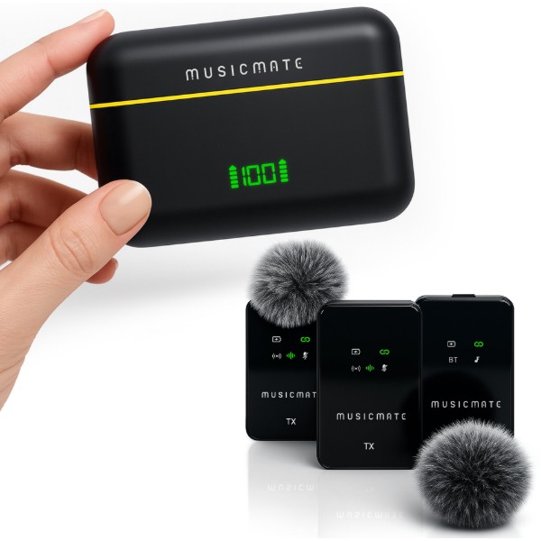 Фото - Микрофон вокальный беспроводной Musicmate MM-130 EchoStream