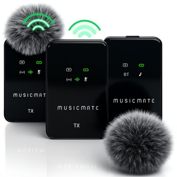 Фото - Микрофон вокальный беспроводной Musicmate MM-130 EchoStream