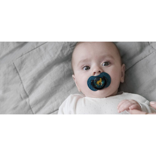 Фото - Динамическая пустышка Lovi 3-6 м-цев 2 шт. Jungle Vibes Boy (22/902boy)