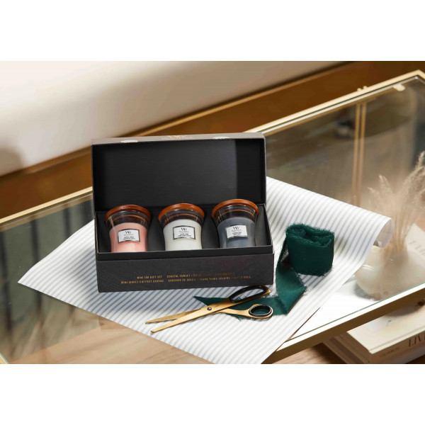 Фото - Набір свічок Woodwick mini Coastal Sunset, Evening Onyx, Solar Ylang (1727429E)