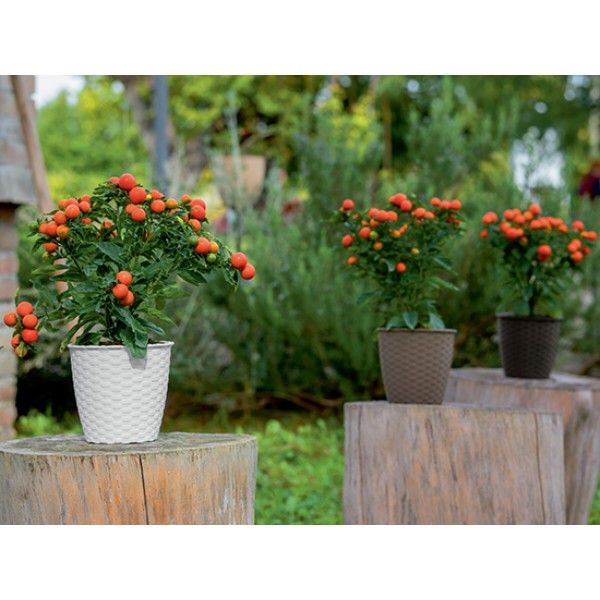 Фото - Вазон Stefanplast NATURAL 19х17,5 см 73464