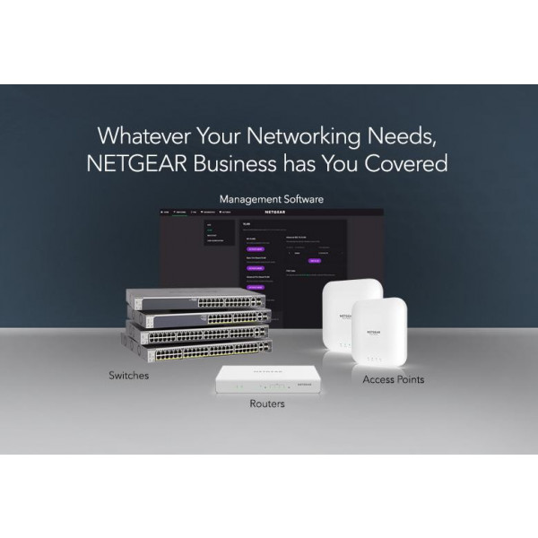 Фото - Коммутатор локальної мережі (Switch) Netgear GS348-100EUS