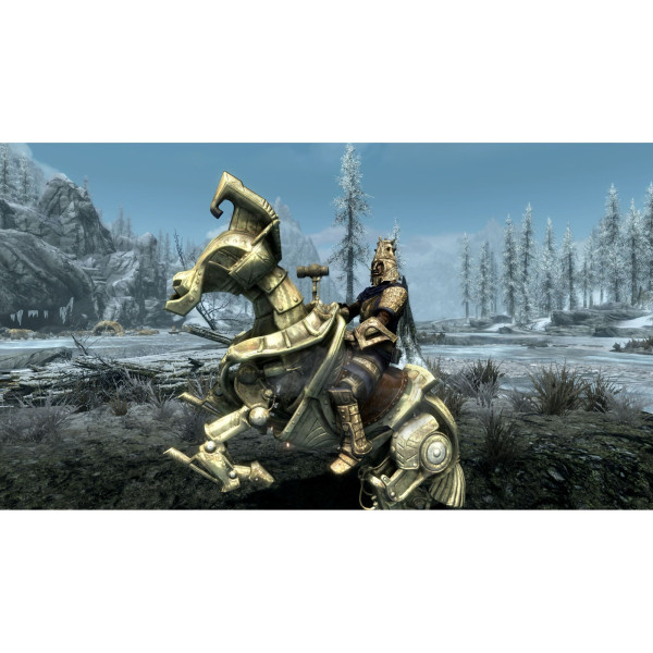 Фото - Игровой картридж Nintendo The Elder Scrolls V: Skyrim Anniversary Edition [Nintendo Switch 2]