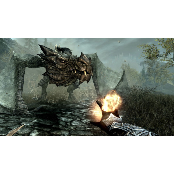 Фото - Игровой картридж Nintendo The Elder Scrolls V: Skyrim Anniversary Edition [Nintendo Switch 2]