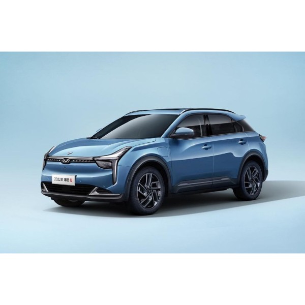 Фото - Килимок з екошкіри в багажник авто EVAtech ECO для U Pro Neta 2020 1 покоління SUV China NT42542B1BBB