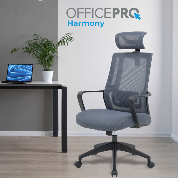 Фото - Кресло офисное OfficePro Harmony (OC310-B-G-G) Black/Gray