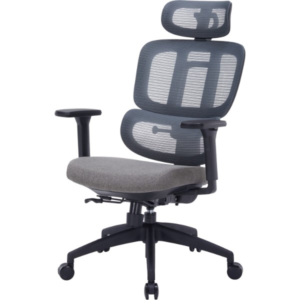 Фото - Крісло офісне OfficePro Skyline (OC580-B-DG-DG) Black/Dark Gray