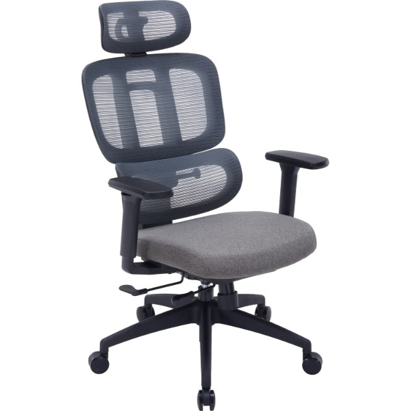 Фото - Крісло офісне OfficePro Skyline (OC580-B-DG-DG) Black/Dark Gray