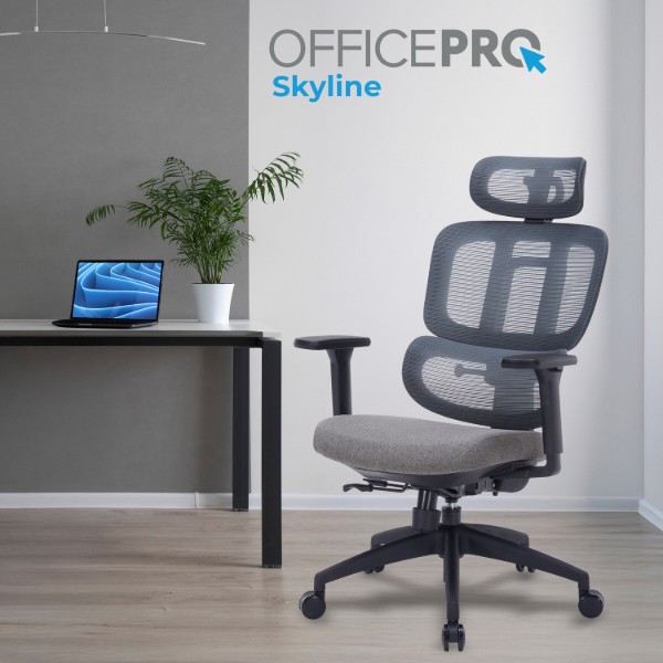 Фото - Крісло офісне OfficePro Skyline (OC580-B-DG-DG) Black/Dark Gray