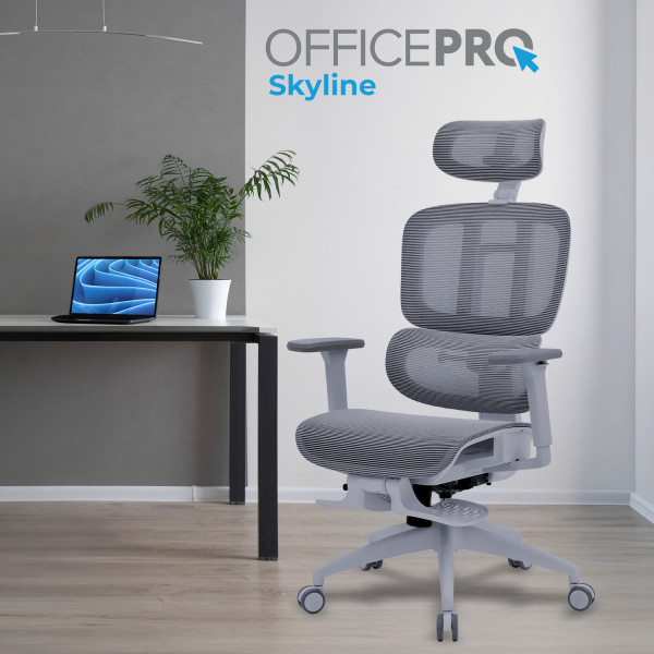 Фото - Крісло офісне OfficePro Skyline Footrest (OC750-G-DG-DG) Gray/Dark Gray