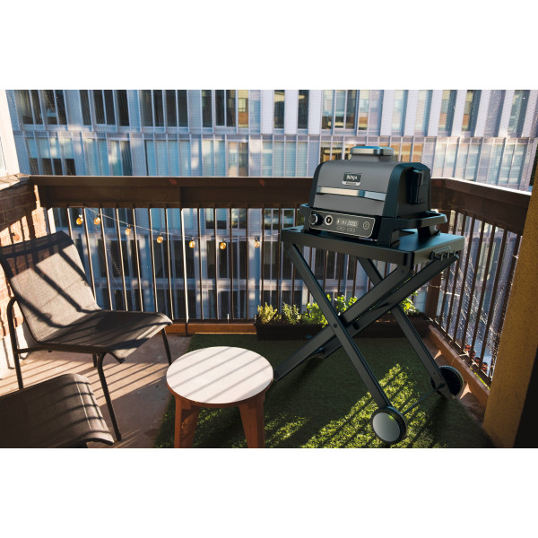 Фото - Гриль-барбекю електричний Ninja Woodfire OG701EU