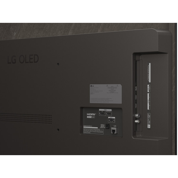 Фото - Телевизор LG OLED48B56LA
