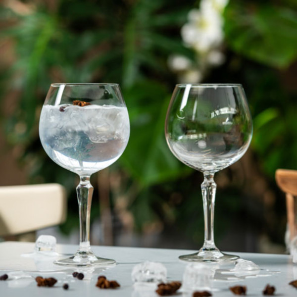 Фото - Бокал ONIS SPKSY GIN&TONIC 585 мл (601541)