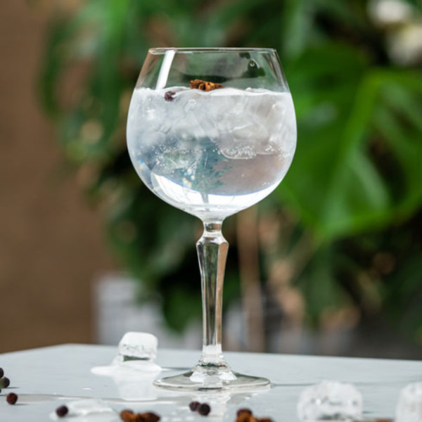 Фото - Бокал ONIS SPKSY GIN&TONIC 585 мл (601541)