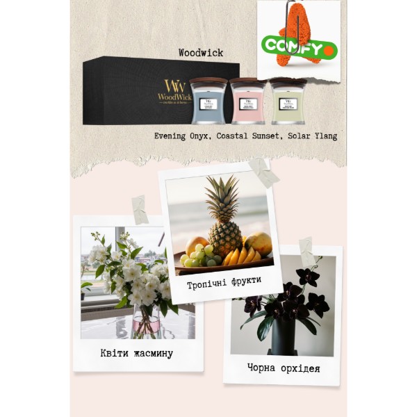 Фото - Набор свечей Woodwick mini Coastal Sunset, Evening Onyx, Solar Ylang (1727429E)