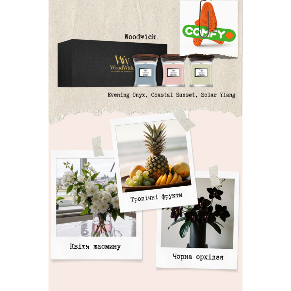 Фото - Набір свічок Woodwick mini Coastal Sunset, Evening Onyx, Solar Ylang (1727429E)