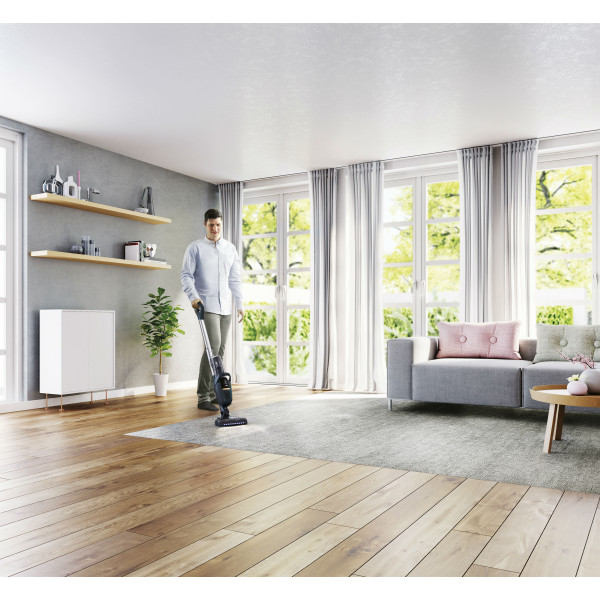 Фото - Пылесос ручной для дома Electrolux PF91-4ST