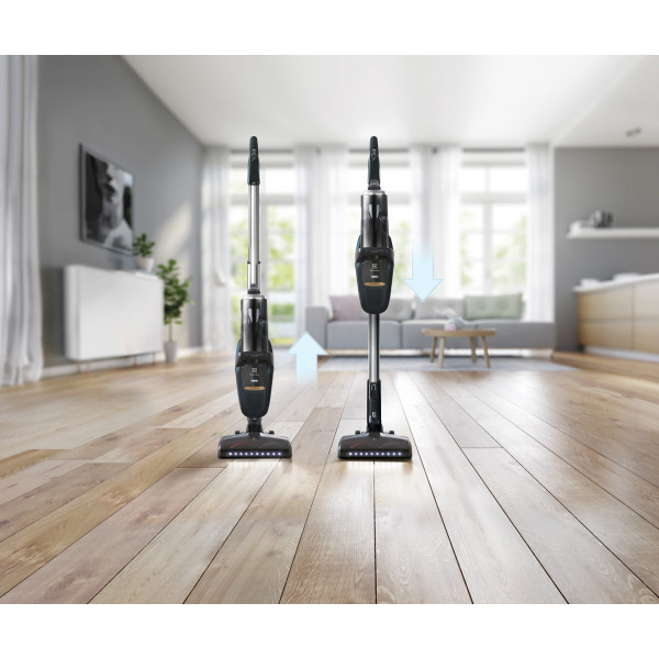 Фото - Пылесос ручной для дома Electrolux PF91-4ST