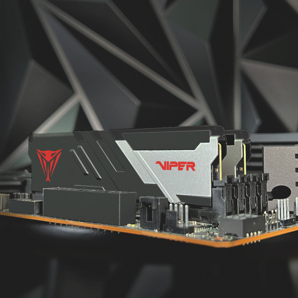 Фото - Память DDR Patriot Viper Venom 2x16GB/6000 DDR5 (PVV532G600C36K)