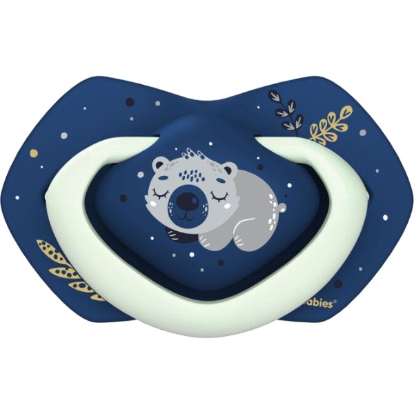Фото - Симметричная пустышка Canpol babies 0-6 мес SLEEPY KOALA 2 шт. - синяя (22/658_blu)