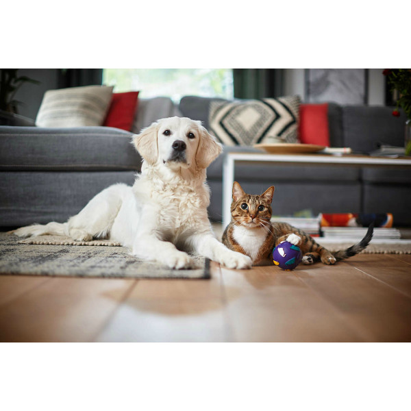 Фото - Робот-пылесос Philips FC8822/01