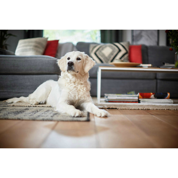 Фото - Робот-пылесос Philips FC8822/01