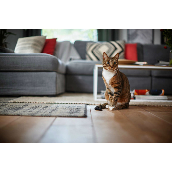 Фото - Робот-пылесос Philips FC8822/01