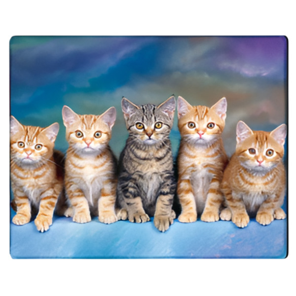 Фото - Килимок для миші Voltronic Five Cats (YT-CAT30)