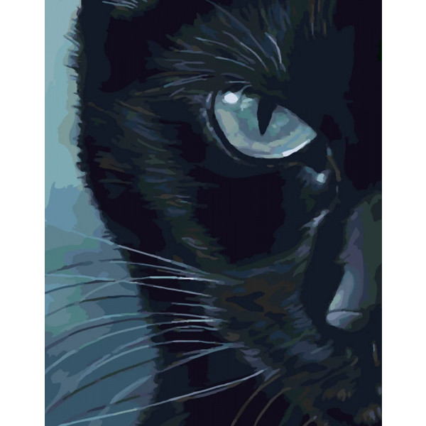 Фото - Картина за номерами Strateg Холодний погляд 40х50 см (SY6333)