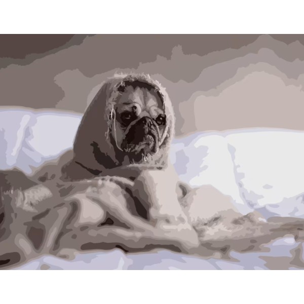 Фото - Картина за номерами Strateg Закутаний мопсик 40х50 см (DY078)