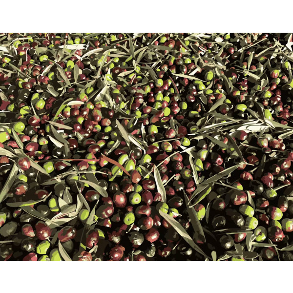 Фото - Картина за номерами Strateg Соковитий кизил 40х50 см (DY123)