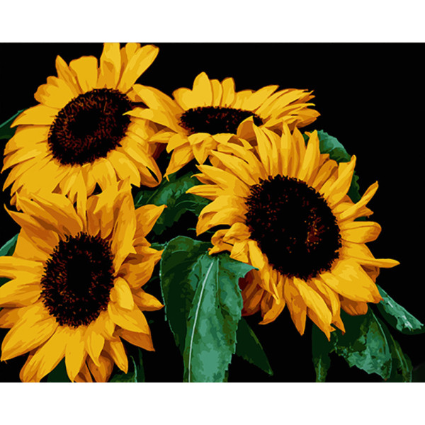 Фото - Картина за номерами Strateg Соняшники на чорному фоні 40х50 см (AH1049)