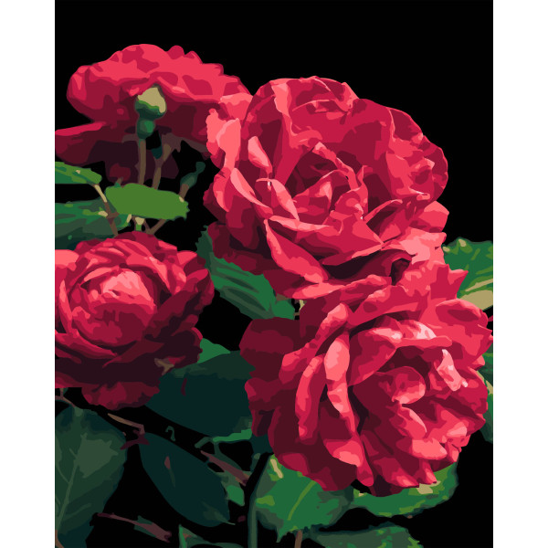 Фото - Картина за номерами Strateg Троянди на чорному фоні 40х50 см (AH1187-18)