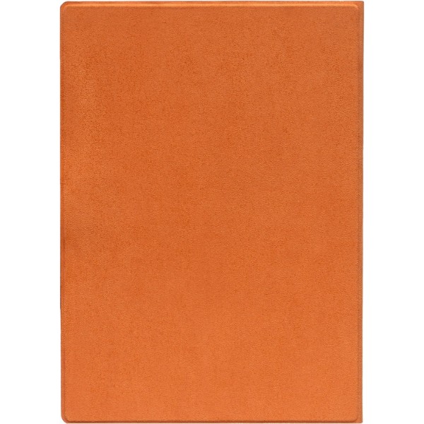 Фото - Чохол для електронної книги PocketBook 1030 Magnetic Folio series (MF-1030-DOG-WW)