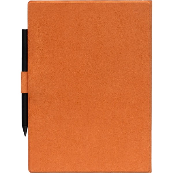 Фото - Чохол для електронної книги PocketBook 1030 Magnetic Folio series (MF-1030-DOG-WW)
