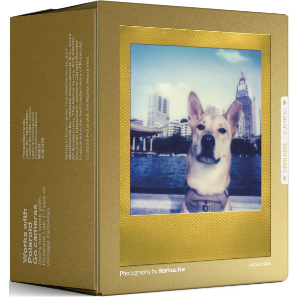 Фото - Фотоплёнка Polaroid Color film for Go - Gold Frame -Double Pack (6588)