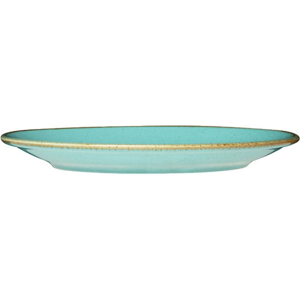 Фото - Тарелка обеденная PORLAND SEASONS 24 см бирюзовый (04ALM001653)