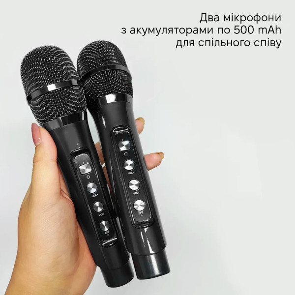 Фото - Портативна акустика INSPIRE YS-208 Black караоке