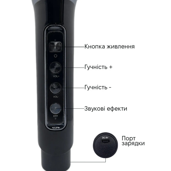 Фото - Портативна акустика INSPIRE YS-208 Black караоке