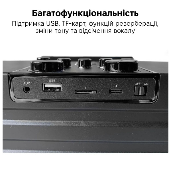 Фото - Портативна акустика INSPIRE YS-208 Black караоке
