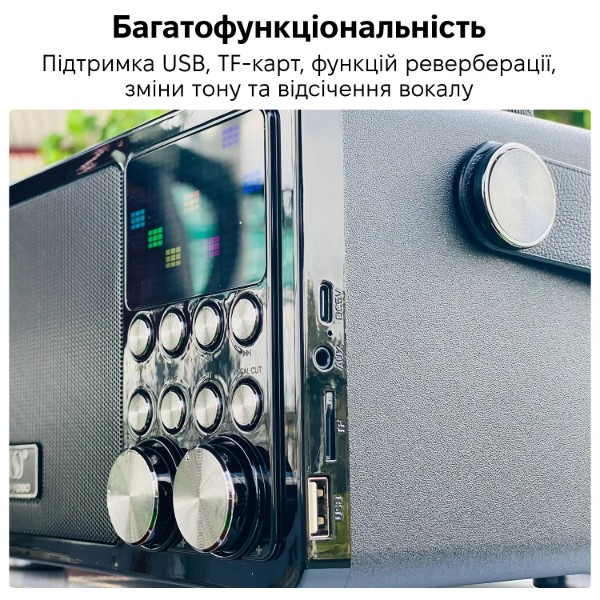 Фото - Портативная акустика INSPIRE YS-311-Black караоке