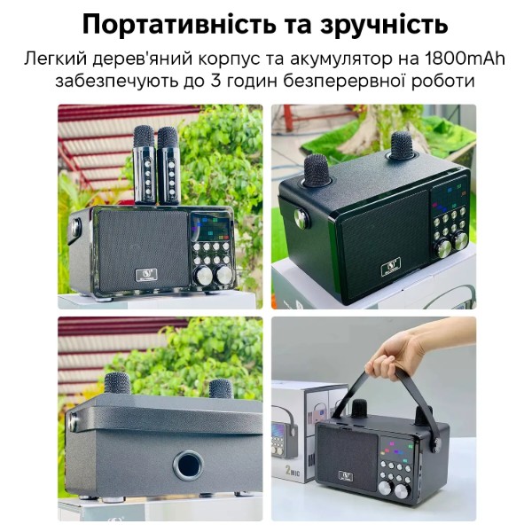 Фото - Портативная акустика INSPIRE YS-311-Black караоке