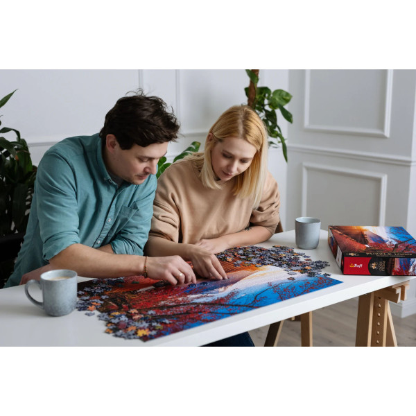 Фото - Пазлы (8+) Trefl Premium Гора Фудзи, Япония 1000 эл. (08170)